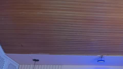 Snapshot of viiolett_lee chatting on October 1, 2025, 8:26 pm Viiolett online show from October 1, 2025, 8:26 pm