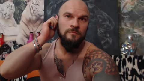 viking online show from December 1, 2024, 8:09 pm