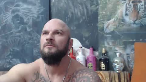 viking online show from November 17, 2025, 7:41 pm