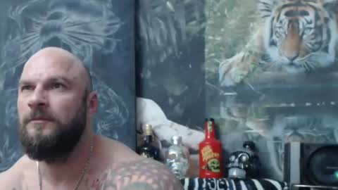 viking online show from April 22, 2026, 6:53 pm