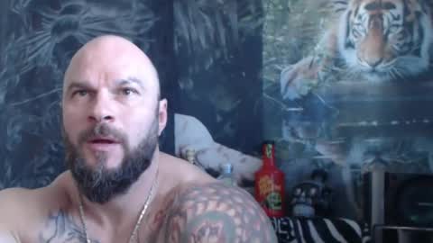 viking online show from April 23, 2026, 6:58 am