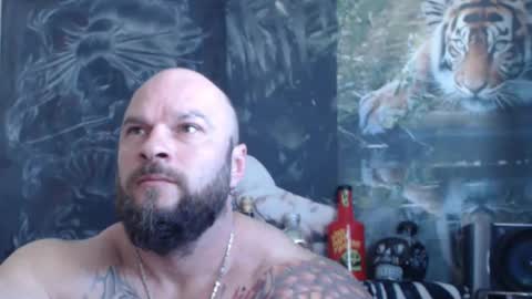 viking online show from April 26, 2026, 6:33 am