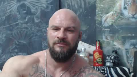 viking online show from June 11, 2026, 6:06 pm