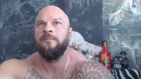 viking online show from June 13, 2026, 7:39 am