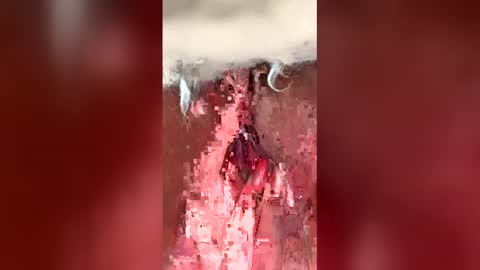 vikt204349 online show from February 7, 2026, 9:24 am