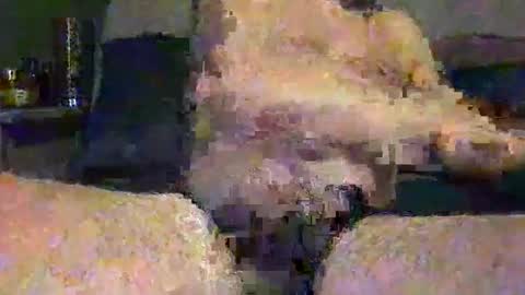 Vinny online show from May 1, 2026, 7:46 am