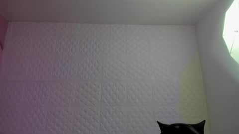 Snapshot of violeta_diazz chatting on May 4, 2026, 9:22 pm online show from May 4, 2026, 9:22 pm