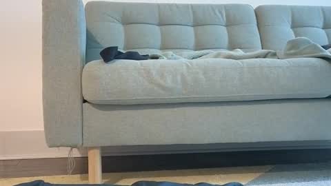 Pachinko De Gallo online show from March 24, 2026, 6:46 pm