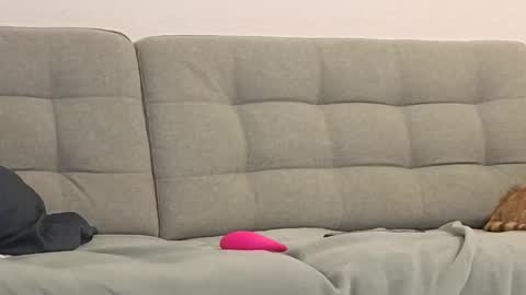 Pachinko De Gallo online show from March 30, 2026, 7:42 am