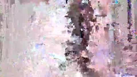 vitto_hammer5758 online show from February 21, 2026, 9:49 pm