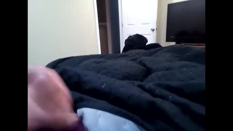 Snapshot of vladedivac1998 chatting on September 23, 2025, 4:43 pm vladedivac1998 online show from September 23, 2025, 4:43 pm