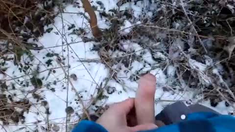 mcfly online show from February 19, 2025, 4:22 pm