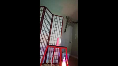 Snapshot of wabbitseason69 chatting on February 12, 2026, 10:54 am wabbitseason69 online show from February 12, 2026, 10:54 am