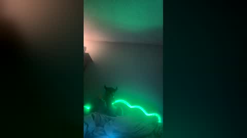 Snapshot of wabbitseason69 chatting on February 15, 2026, 12:14 pm wabbitseason69 online show from February 15, 2026, 12:14 pm