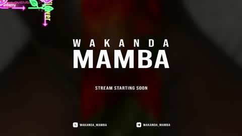 Wakanda Mamba online show from November 17, 2025, 3:40 pm