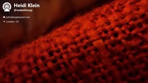 wakehimup online show from November 1, 2025, 3:58 pm