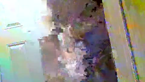 Snapshot of waltbkk chatting on December 9, 2024, 10:43 am Walter online show from December 9, 2024, 10:43 am