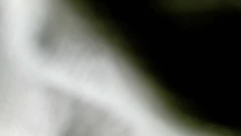 wangi_wangi online show from February 18, 2026, 6:48 pm