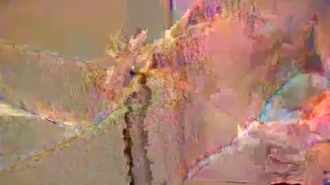 want2cum4gal online show from December 29, 2024, 10:47 pm