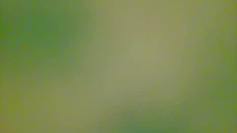 watchplaycum online show from October 8, 2025, 11:24 pm