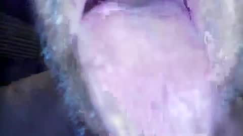 Snapshot of wayne1311 chatting on March 1, 2026, 7:21 am wayne1311 online show from March 1, 2026, 7:21 am