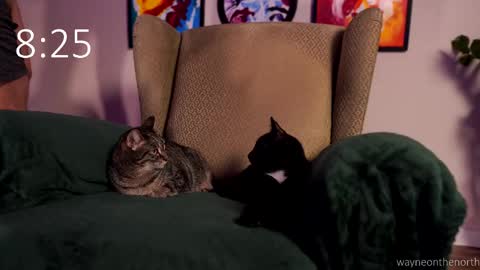 waynenorth online show from February 22, 2026, 3:21 pm