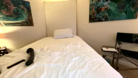 Snapshot of webcameraon chatting on March 7, 2026, 7:38 am Retainer Forever Solo Album online show from March 7, 2026, 7:38 am