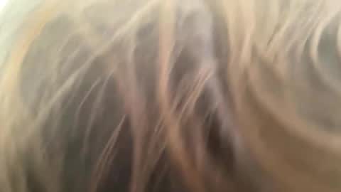 weedwacker43 online show from March 1, 2026, 3:25 pm