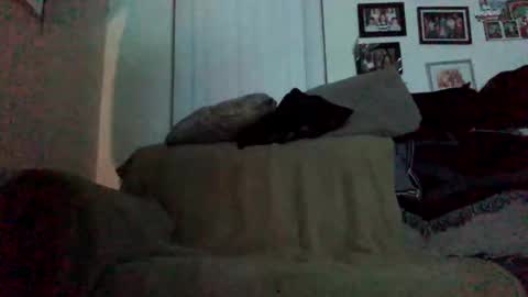 Eduardo online show from February 9, 2026, 11:03 am