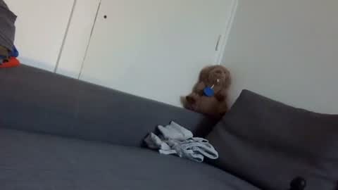 wet_pants2022 online show from September 22, 2025, 7:10 am