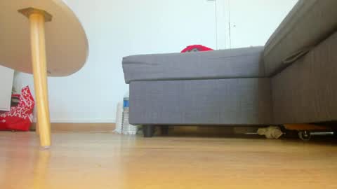 wet_pants2022 online show from June 17, 2026, 9:34 am