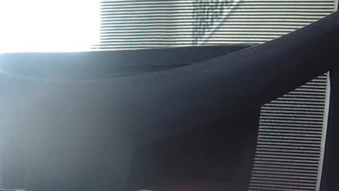 Wetbigdickstream online show from June 13, 2026, 12:14 pm