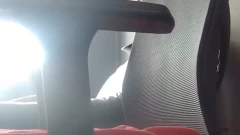 Wetbigdickstream online show from June 23, 2026, 11:41 am