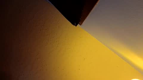 wetduck77777 online show from April 9, 2026, 9:15 am