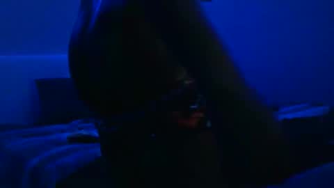wetwildbigdick305 online show from February 3, 2025, 10:36 am