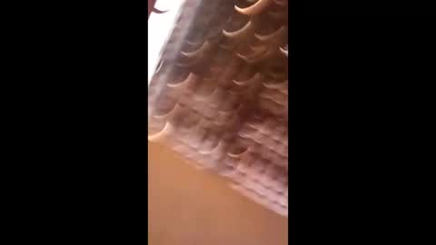 Snapshot of wgebnnrfodwt chatting on April 3, 2026, 7:01 pm wgebnnrfodwt online show from April 3, 2026, 7:01 pm