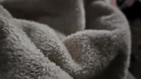 Snapshot of what_whaaat chatting on November 2, 2025, 9:11 am what_whaaat online show from November 2, 2025, 9:11 am