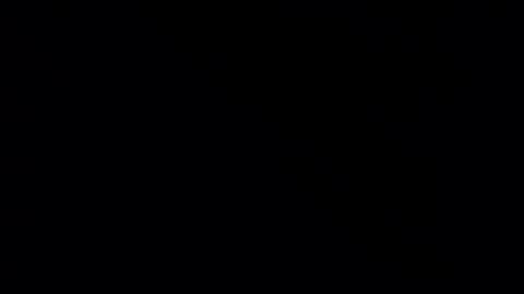 whitehead_lion online show from February 21, 2025, 5:31 pm