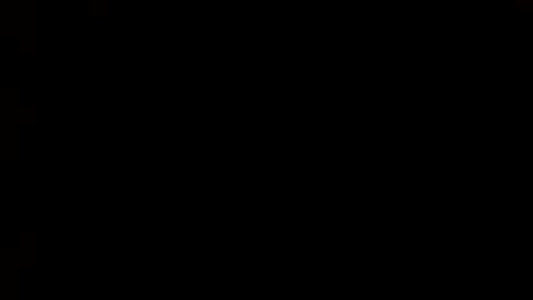 whitehead_lion online show from March 1, 2025, 9:15 pm