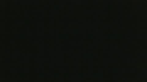 whitehead_lion online show from October 19, 2025, 1:01 pm