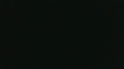 whitehead_lion online show from November 14, 2025, 6:17 pm