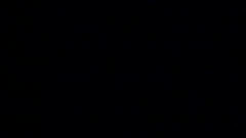 whitehead_lion online show from January 14, 2026, 6:13 pm