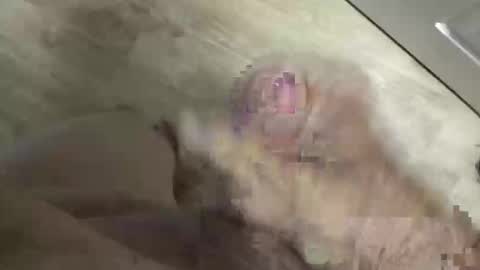 whitelava_4u online show from May 30, 2026, 3:53 pm