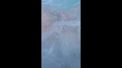 whiteoak19522 online show from March 29, 2026, 11:32 am