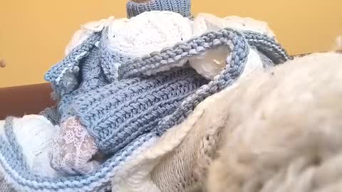 whitesweater online show from March 23, 2026, 6:50 am