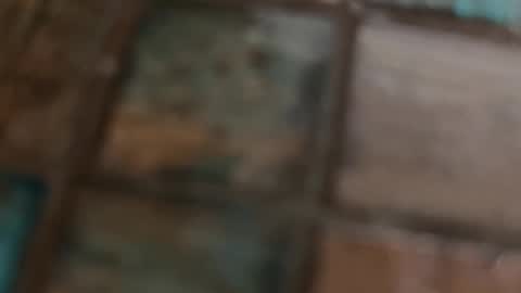 VI online show from February 10, 2026, 10:19 am