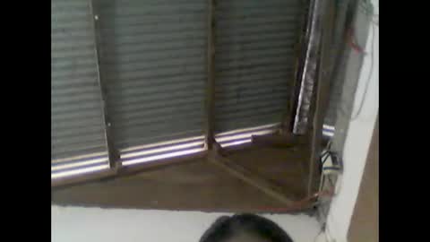 wild984501 online show from January 11, 2025, 3:55 am