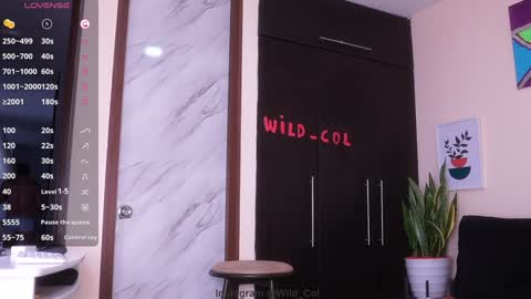 wild_col online show from December 17, 2024, 12:33 pm