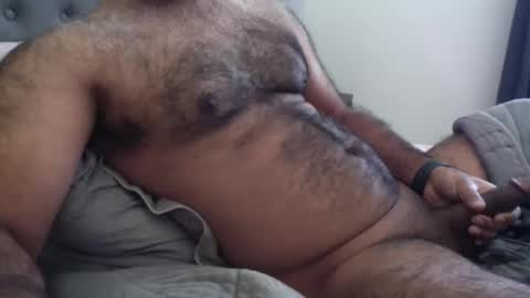 wildhungry online show from December 1, 2025, 6:57 pm