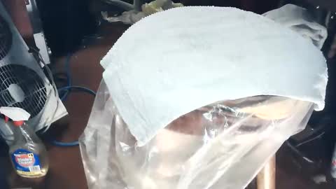 Snapshot of wildman6 chatting on March 7, 2026, 8:17 pm wildman6 online show from March 7, 2026, 8:17 pm